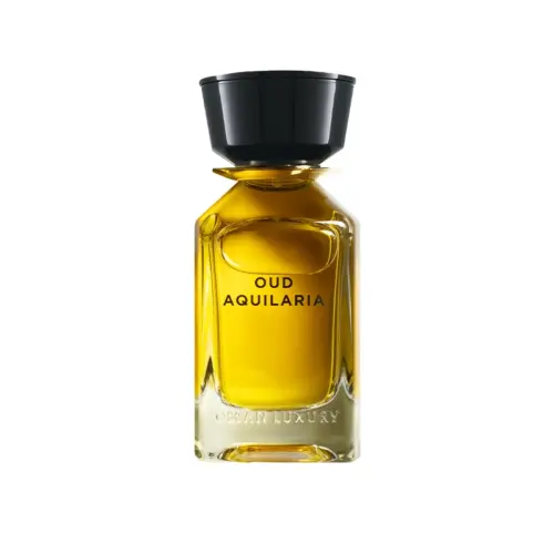 Oman Oud Aquilaria